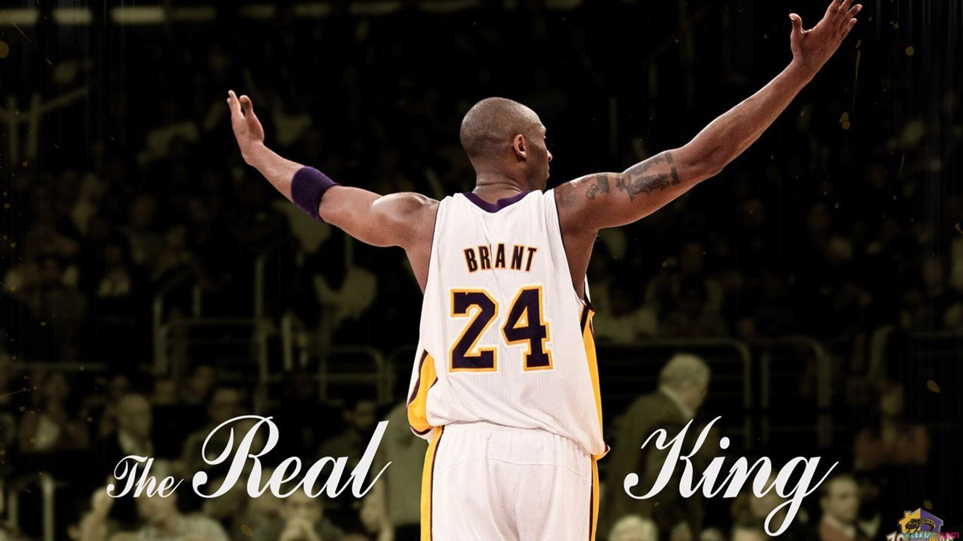 星空体育赛事集团-青少年篮球“冠军梦想”从基层开始发芽，青少年篮球冠军赛